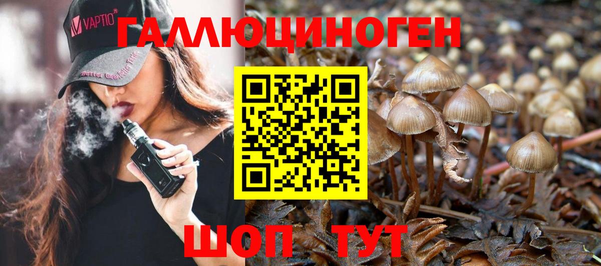 Галлюциногенные грибы Psilocybine cubensis  Вход с VPN  Оренбург 