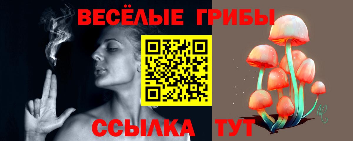 Псилоцибиновые грибы MAGIC MUSHROOMS Оренбург